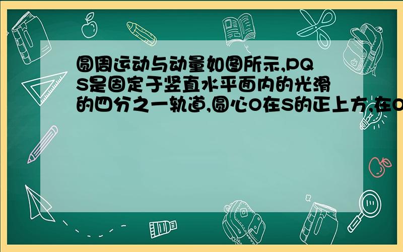 圆周运动与动量如图所示,PQS是固定于竖直水平面内的光滑的四分之一轨道,圆心O在S的正上方,在O和P两点各有一质量为m的