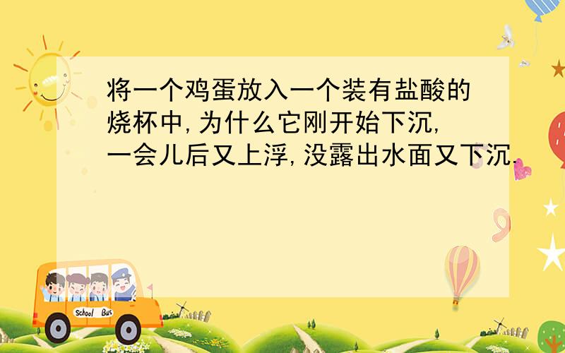 将一个鸡蛋放入一个装有盐酸的烧杯中,为什么它刚开始下沉,一会儿后又上浮,没露出水面又下沉.