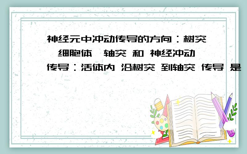 神经元中冲动传导的方向：树突→细胞体→轴突 和 神经冲动传导：活体内 沿树突 到轴突 传导 是一样的吗?