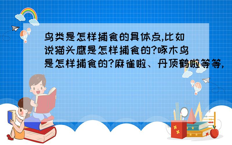 鸟类是怎样捕食的具体点,比如说猫头鹰是怎样捕食的?啄木鸟是怎样捕食的?麻雀啦、丹顶鹤啦等等,