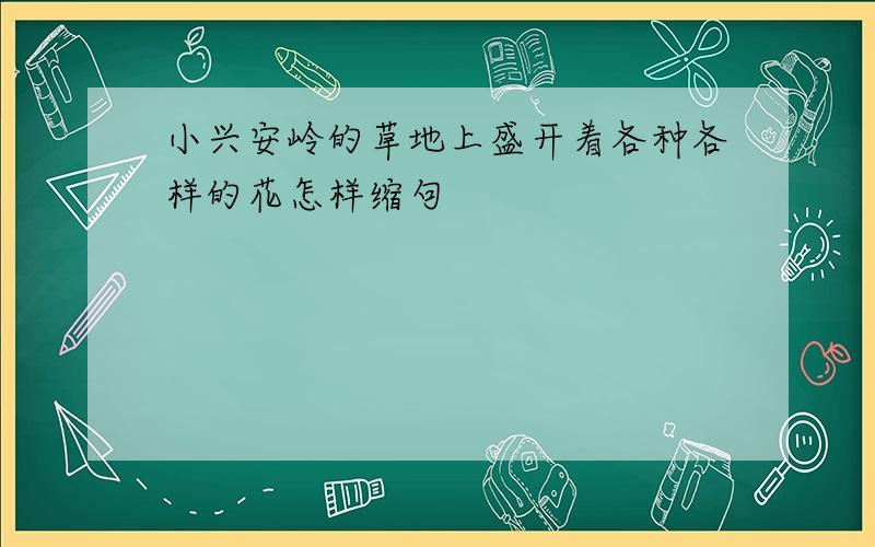 小兴安岭的草地上盛开着各种各样的花怎样缩句