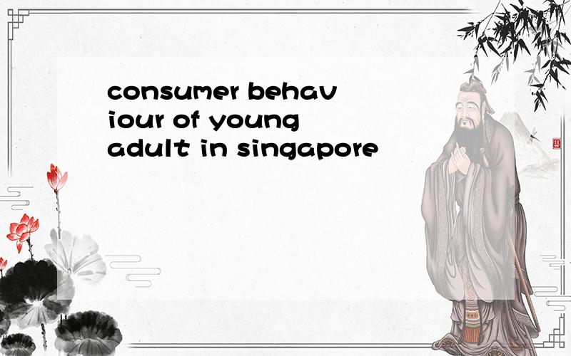 consumer behaviour of young adult in singapore