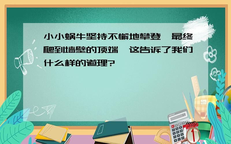 小小蜗牛坚持不懈地攀登,最终爬到墙壁的顶端,这告诉了我们什么样的道理?