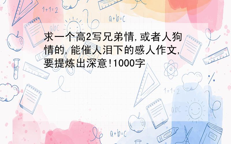 求一个高2写兄弟情,或者人狗情的,能催人泪下的感人作文,要提炼出深意!1000字