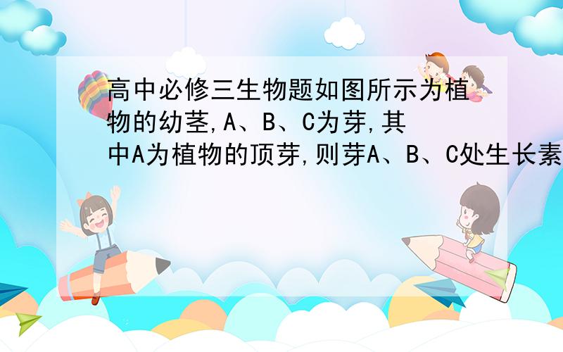 高中必修三生物题如图所示为植物的幼茎,A、B、C为芽,其中A为植物的顶芽,则芽A、B、C处生长素浓度的关系是（ ）.注：