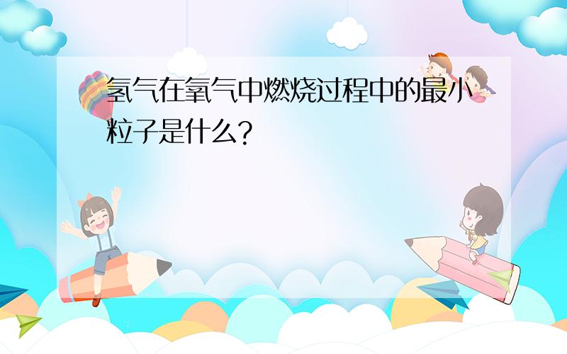 氢气在氧气中燃烧过程中的最小粒子是什么?