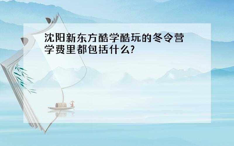 沈阳新东方酷学酷玩的冬令营 学费里都包括什么?