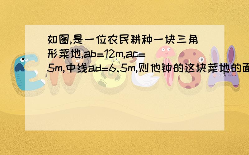 如图,是一位农民耕种一块三角形菜地,ab=12m,ac=5m,中线ad=6.5m,则他钟的这块菜地的面积为多少?