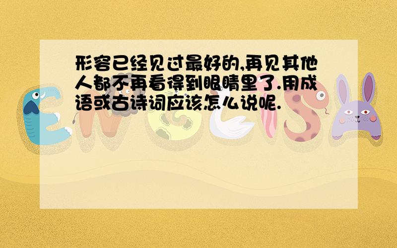 形容已经见过最好的,再见其他人都不再看得到眼睛里了.用成语或古诗词应该怎么说呢.