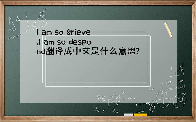 I am so grieve,I am so despond翻译成中文是什么意思?