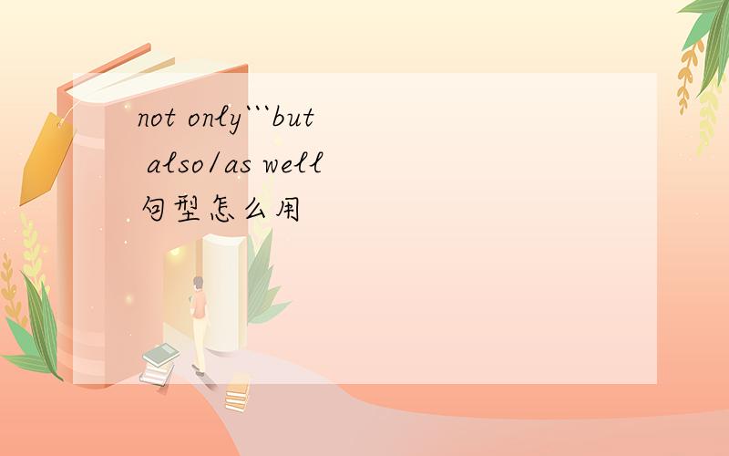 not only```but also/as well 句型怎么用