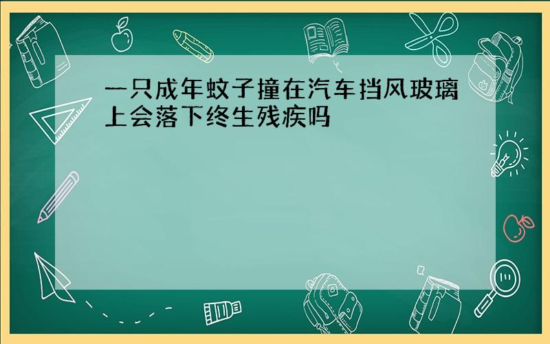 一只成年蚊子撞在汽车挡风玻璃上会落下终生残疾吗