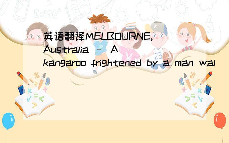 英语翻译MELBOURNE,Australia – A kangaroo frightened by a man wal