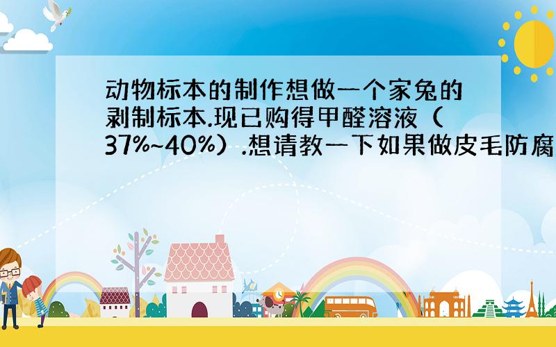 动物标本的制作想做一个家兔的剥制标本.现已购得甲醛溶液（37%~40%）.想请教一下如果做皮毛防腐剂的话,单单使用该甲醛