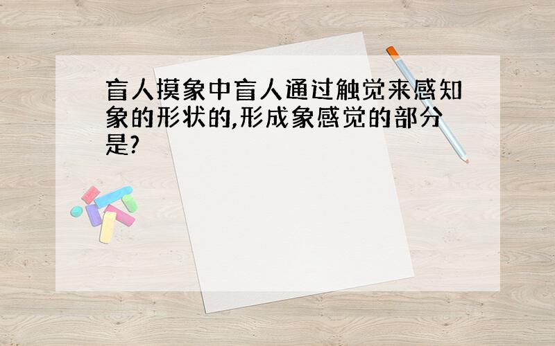 盲人摸象中盲人通过触觉来感知象的形状的,形成象感觉的部分是?