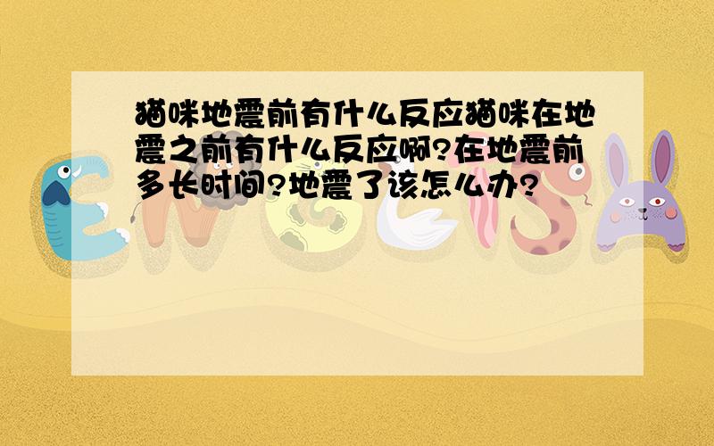 猫咪地震前有什么反应猫咪在地震之前有什么反应啊?在地震前多长时间?地震了该怎么办?