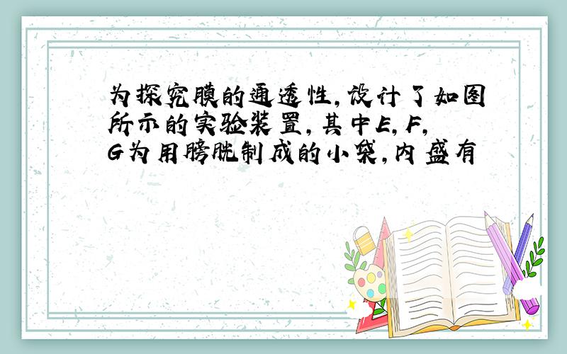 为探究膜的通透性,设计了如图所示的实验装置,其中E,F,G为用膀胱制成的小袋,内盛有