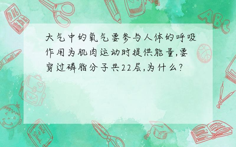 大气中的氧气要参与人体的呼吸作用为肌肉运动时提供能量,要穿过磷脂分子共22层,为什么?