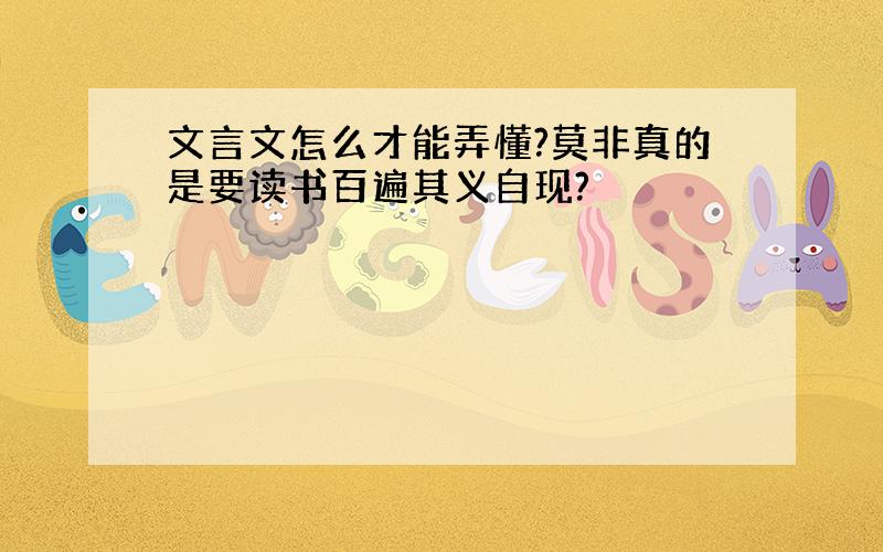 文言文怎么才能弄懂?莫非真的是要读书百遍其义自现?