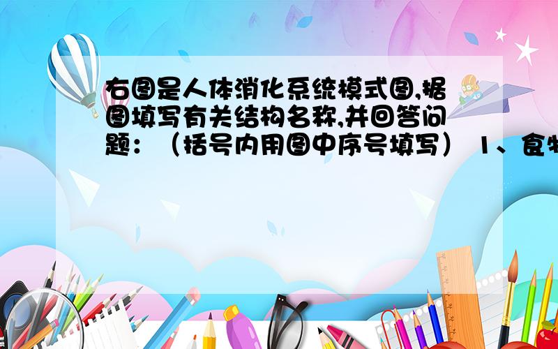 右图是人体消化系统模式图,据图填写有关结构名称,并回答问题：（括号内用图中序号填写） 1、食物通过消