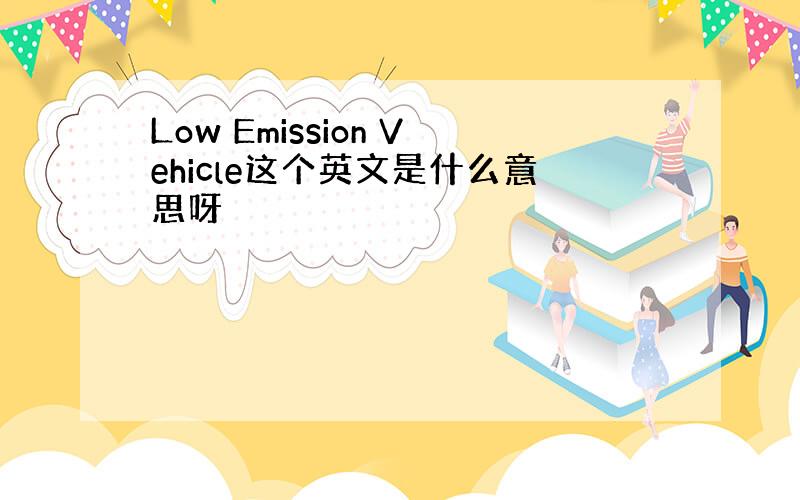 Low Emission Vehicle这个英文是什么意思呀