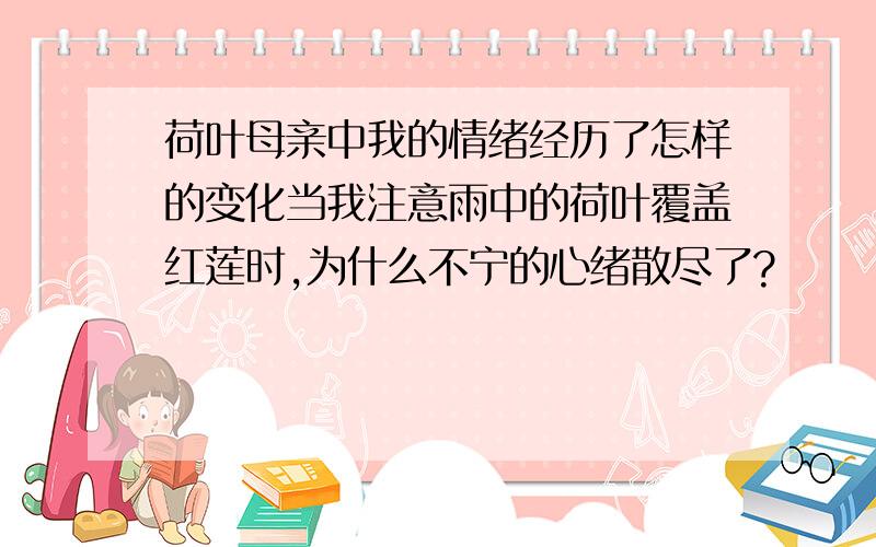 荷叶母亲中我的情绪经历了怎样的变化当我注意雨中的荷叶覆盖红莲时,为什么不宁的心绪散尽了?