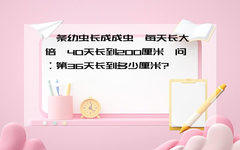 一条幼虫长成成虫,每天长大一倍,40天长到200厘米,问：第36天长到多少厘米?