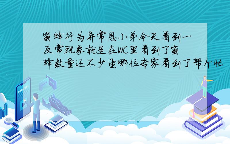 蜜蜂行为异常恩小弟今天看到一反常现象就是在WC里看到了蜜蜂数量还不少望哪位专家看到了帮个忙