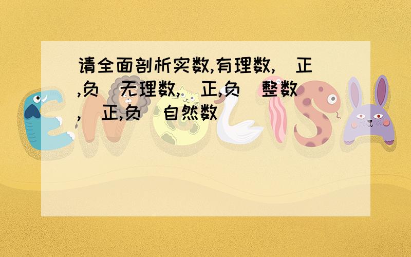 请全面剖析实数,有理数,（正,负）无理数,（正,负）整数,（正,负）自然数