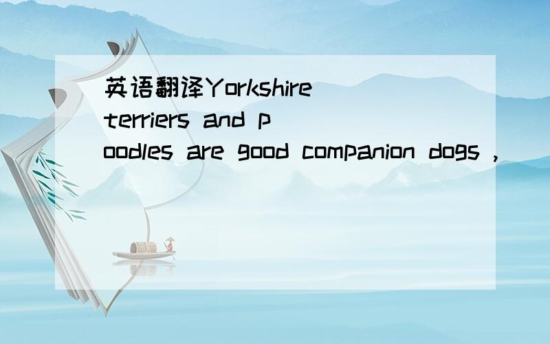 英语翻译Yorkshire terriers and poodles are good companion dogs ,