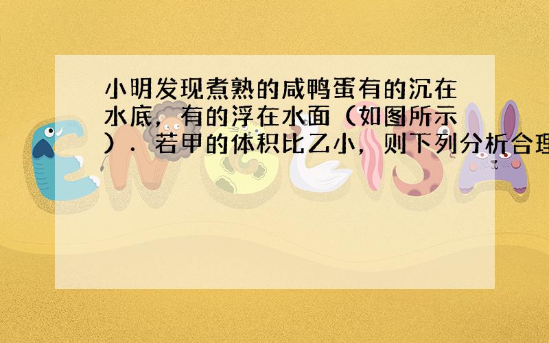 小明发现煮熟的咸鸭蛋有的沉在水底，有的浮在水面（如图所示）．若甲的体积比乙小，则下列分析合理的是（　　）