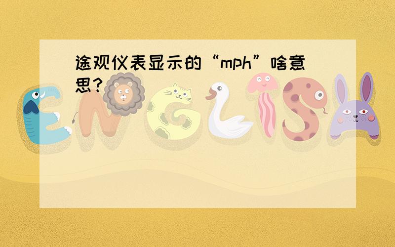 途观仪表显示的“mph”啥意思?