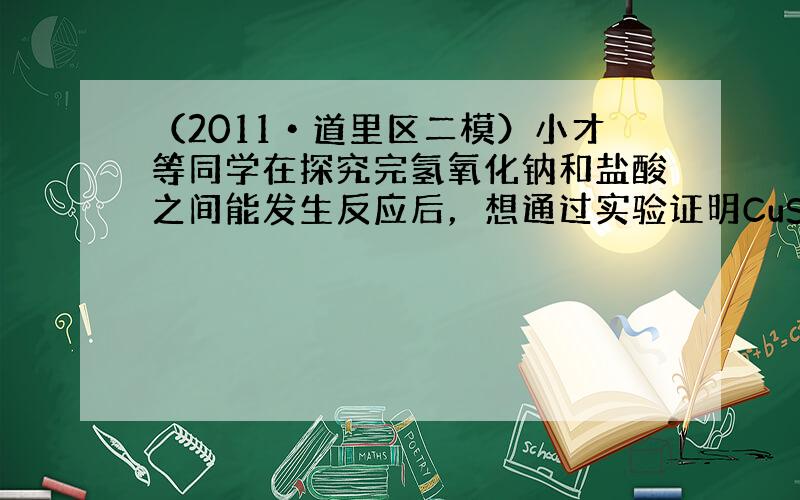 （2011•道里区二模）小才等同学在探究完氢氧化钠和盐酸之间能发生反应后，想通过实验证明CuSO4 和盐酸以及