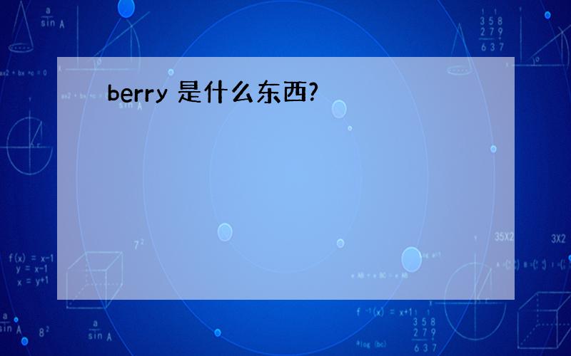 berry 是什么东西?