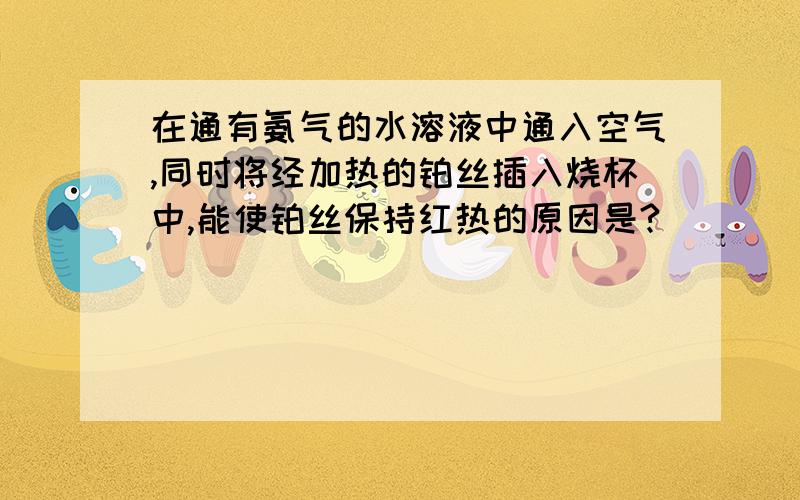 在通有氨气的水溶液中通入空气,同时将经加热的铂丝插入烧杯中,能使铂丝保持红热的原因是?