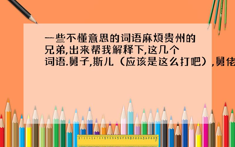 一些不懂意思的词语麻烦贵州的兄弟,出来帮我解释下,这几个词语.舅子,斯儿（应该是这么打吧）,舅佬,仙人.这几个词语是哪样