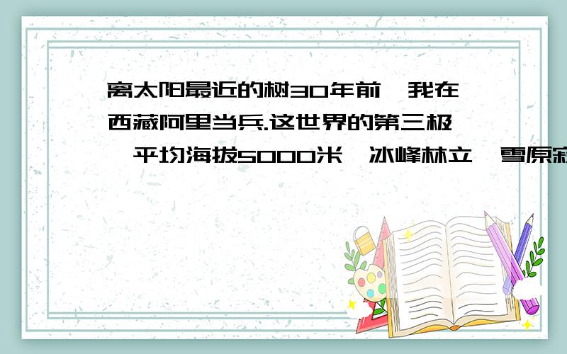 离太阳最近的树30年前,我在西藏阿里当兵.这世界的第三极,平均海拔5000米,冰峰林立,雪原寂寥.不知是神灵的佑护还是大