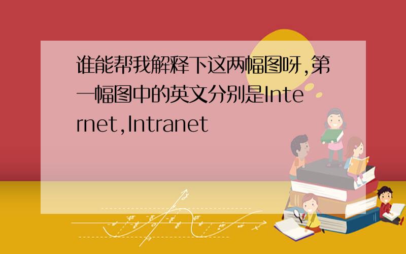 谁能帮我解释下这两幅图呀,第一幅图中的英文分别是Internet,Intranet