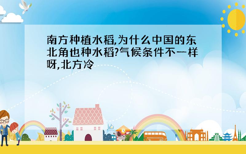 南方种植水稻,为什么中国的东北角也种水稻?气候条件不一样呀,北方冷