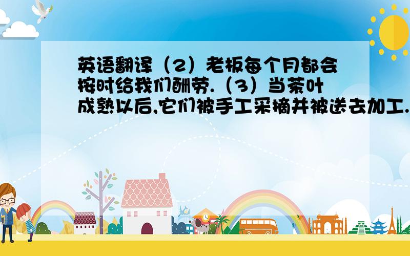 英语翻译（2）老板每个月都会按时给我们酬劳.（3）当茶叶成熟以后,它们被手工采摘并被送去加工.（4）带有特殊后跟的鞋子是