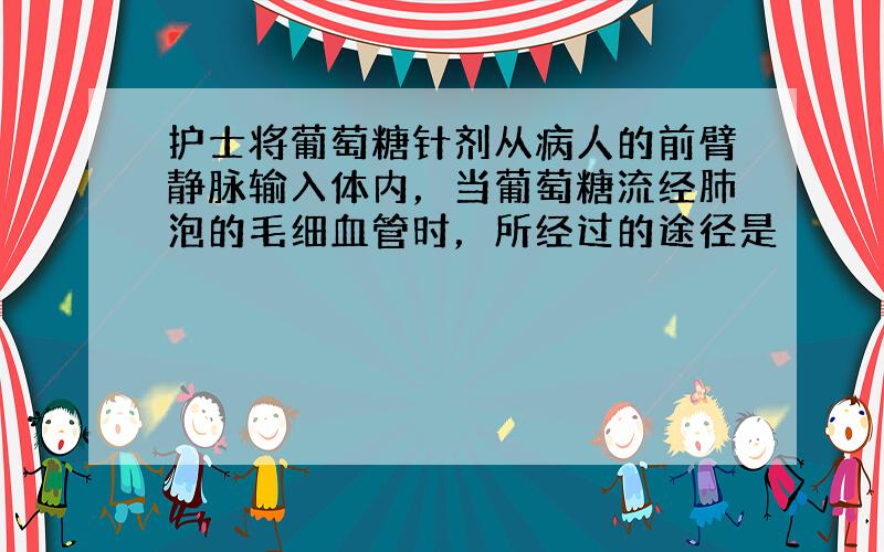 护士将葡萄糖针剂从病人的前臂静脉输入体内，当葡萄糖流经肺泡的毛细血管时，所经过的途径是