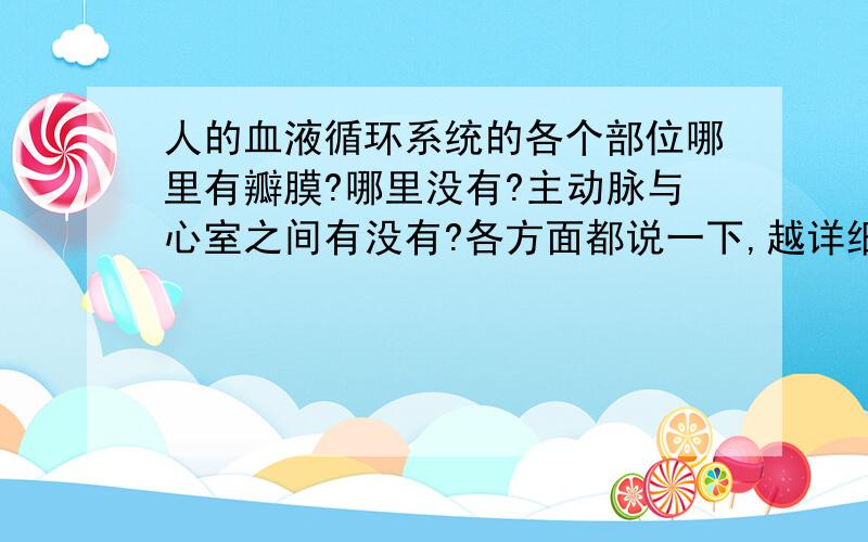 人的血液循环系统的各个部位哪里有瓣膜?哪里没有?主动脉与心室之间有没有?各方面都说一下,越详细越好,但不要太多,也不要只