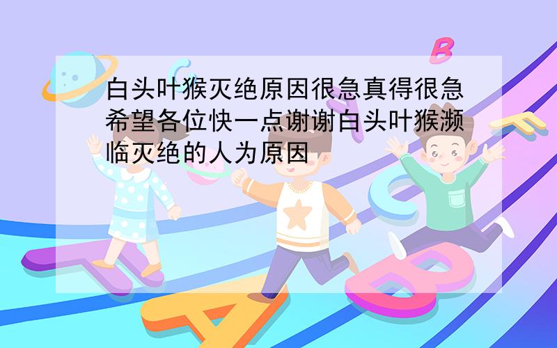 白头叶猴灭绝原因很急真得很急希望各位快一点谢谢白头叶猴濒临灭绝的人为原因