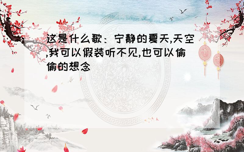 这是什么歌：宁静的夏天,天空,我可以假装听不见,也可以偷偷的想念