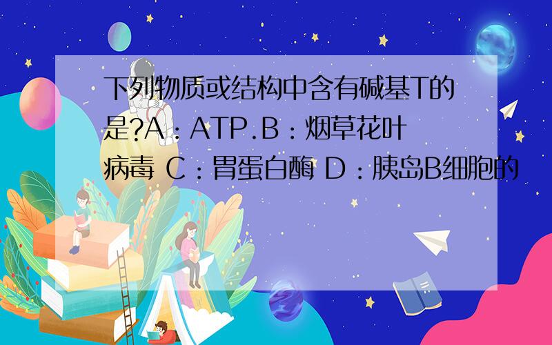 下列物质或结构中含有碱基T的是?A：ATP.B：烟草花叶病毒 C：胃蛋白酶 D：胰岛B细胞的