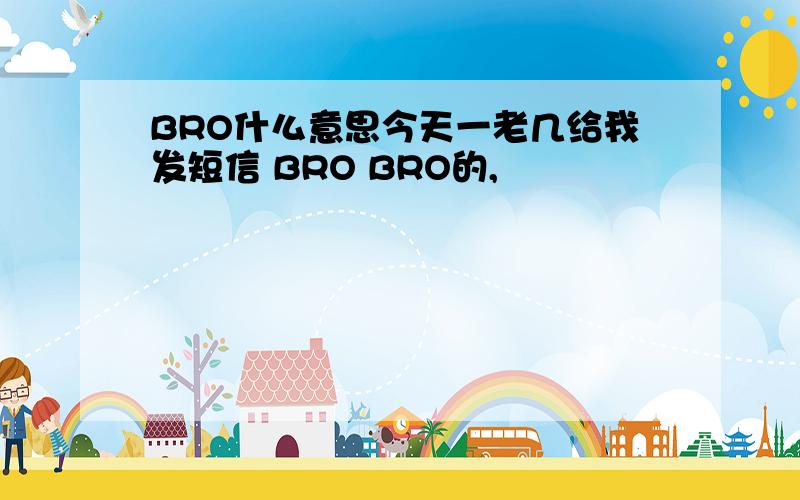 BRO什么意思今天一老几给我发短信 BRO BRO的,