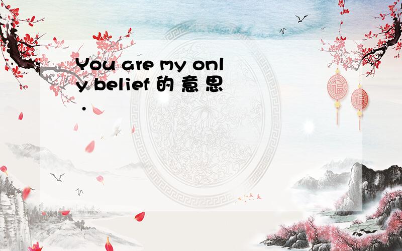 You are my only belief 的 意 思 .