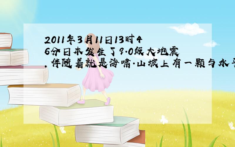 2011年3月11日13时46分日本发生了9.0级大地震,伴随着就是海啸.山坡上有一颗与水平