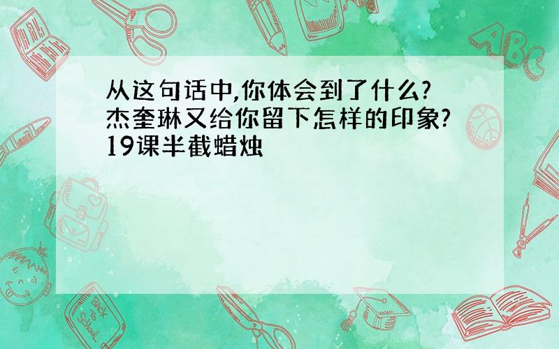 从这句话中,你体会到了什么?杰奎琳又给你留下怎样的印象?19课半截蜡烛