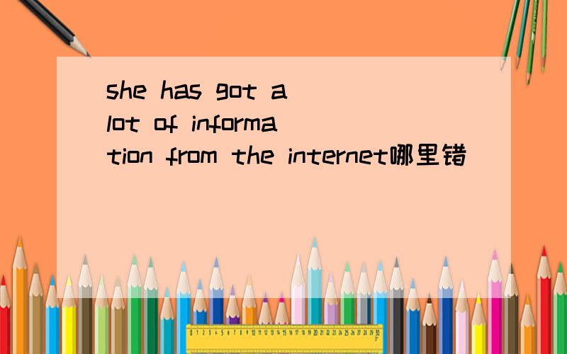 she has got a lot of information from the internet哪里错